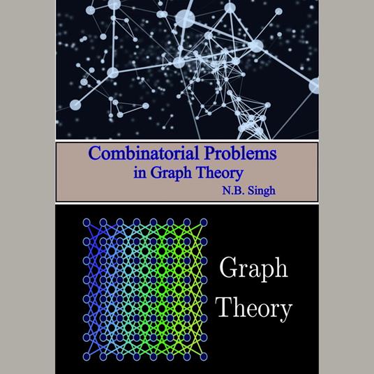 Combinatorial Problems in Graph Theory