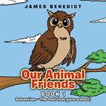 Our Animal Friends: Sebastian - The Owl that gave a hoot!