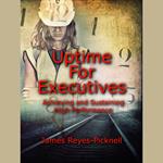Uptime for Executives