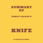 Summary of Salman Rushdie’s Knife