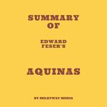 Summary of Edward Feser's Aquinas
