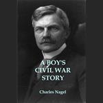 Boy's Civil War Story, A