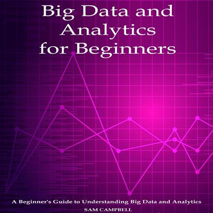 Big Data and Analytics for Beginners