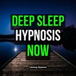 Deep Sleep Hypnosis Now