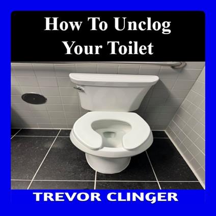 How To Unclog Your Toilet