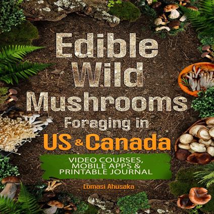 Edible Wild Mushrooms Foraging in US & Canada