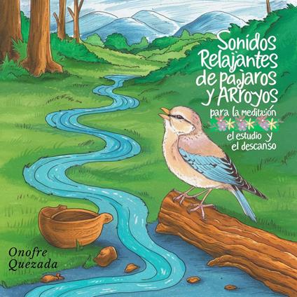 Sonidos Relajantes De Pájaros Y Arroyo Para La Meditación El Estudio Y El Descanso