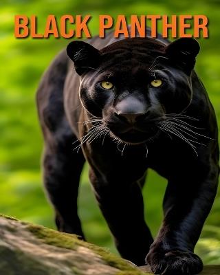 Black Panther: Fun and Fascinating Facts and Pictures About Black Panther - Raine Hawthorn - cover