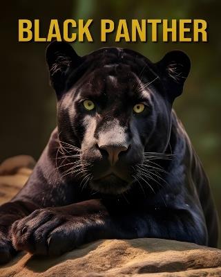 Black Panther: Phenomenal Photos and Fascinating Fun Facts - Celeste Raven - cover