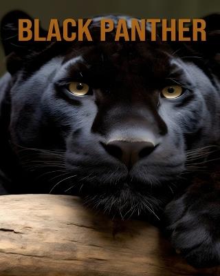 Black Panther: The Amazing Life of the Black Panther - Vivienne Ash - cover