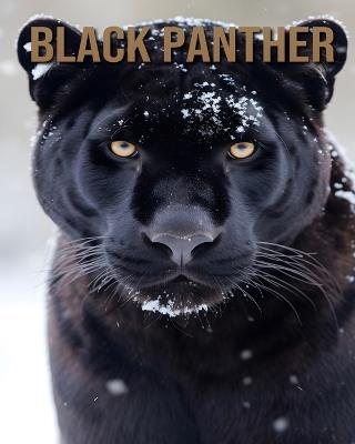 Black Panther: Fun Facts About the Black Panther - Leo Quill - cover