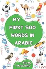 My first bilingual Arabic English picture book: 500 words of the classical Arabic language - A visual dictionary with illustrated words on everyday themes - Learn Arabic vocabulary for kids and beginner adults