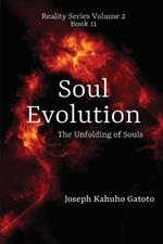 Soul Evolution: The Unfolding of Souls