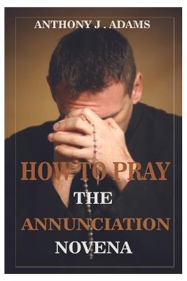 How to Pray the Annunciation Novena - Anthony J Adams - cover