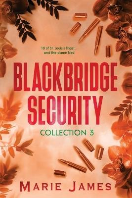 Blackbridge Security Collection 3 - Marie James - cover