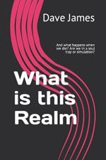 What is this Realm: And what happens when we die? Are we in a soul trap or simulation?