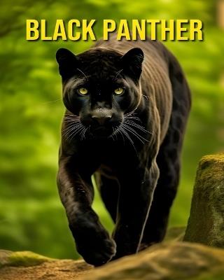 Black Panther: Fun and Amazing Pictures About Black Panther - Susan Pharo - cover