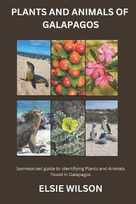 Plants and Animals of Galapagos: Guide to Flora and Fauna found in Galapagos - Elsie Wilson - cover