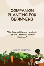 Companion Planting for Beginners: 