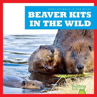 Beaver Kits in the Wild - Katie Chanez - cover