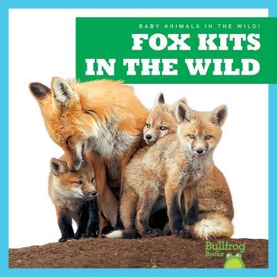 Fox Kits in the Wild - Katie Chanez - cover