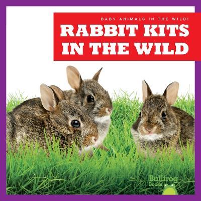 Rabbit Kits in the Wild - Katie Chanez - cover