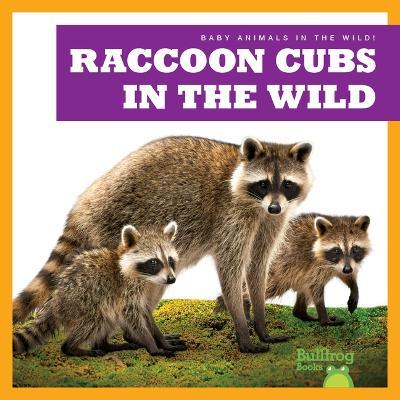 Raccoon Cubs in the Wild - Katie Chanez - cover