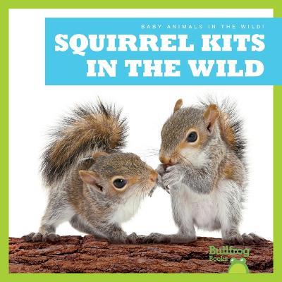 Squirrel Kits in the Wild - Katie Chanez - cover