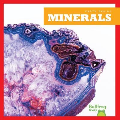 Minerals - Rebecca Pettiford - cover