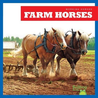 Farm Horses - Rachel Grack - cover