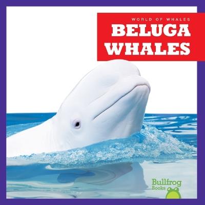 Beluga Whales - Katie Chanez - cover