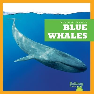 Blue Whales - Eliza Leahy - cover
