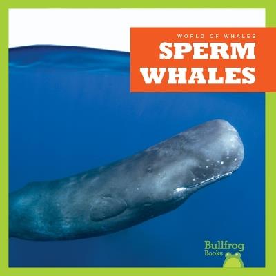 Sperm Whales - Katie Chanez - cover