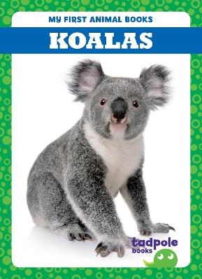 Koalas - Natalie Deniston - cover