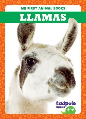 Llamas - Marie Brandle - cover