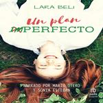 Un plan imperfecto (An Imperfect Plan)