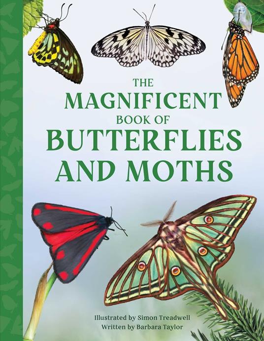 The Magnificent Book of Butterflies and Moths - Barbara Taylor,Simon Treadwell - ebook
