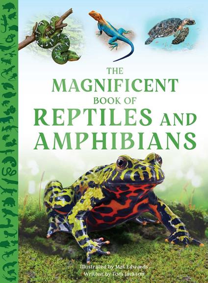 The Magnificent Book of Reptiles and Amphibians - Tom Jackson,Mat Edwards - ebook
