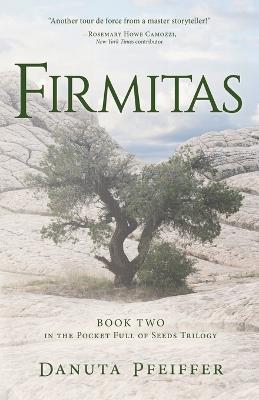 Firmitas - Danuta Pfeiffer - cover