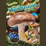 See a Mushroom Grow