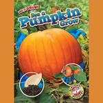 See a Pumpkin Grow