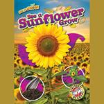 See a Sunflower Grow
