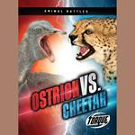 Ostrich vs. Cheetah
