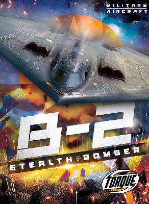 B2 Stealth Bomber - Donna McKinney - cover