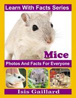Mice Photos and Facts for Everyone