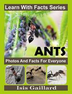 Ant Photos and Facts for Everyone