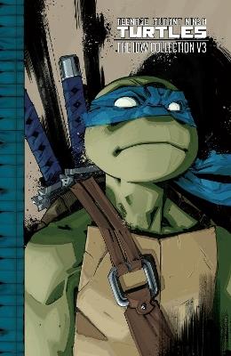 Teenage Mutant Ninja Turtles: The IDW Collection Volume 3 - Kevin Eastman,Tom Waltz,Brian Lynch - cover