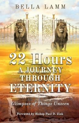 22 Hours: A Journey Through Eternity: Glimpses of Things Unseen - Bella Lamm - cover