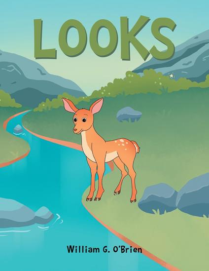 Looks - William G. O'Brien - ebook