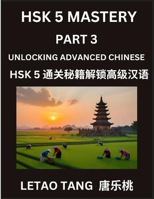 Chinese HSK Level 5 Test (Part 3) - A Guide to HSK Test, Self-study Course Book to Prepare and Qualify HSK All Levels, Stories, Essays, Idioms, Vocabularies, Easy Lessons to Understand China and Mandarin Language and Culture, English, Pinyin, Simplified Ch - Letao Tang - cover